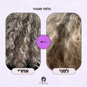 Let It Frost מסכה סגולה לבלונד וסילבר